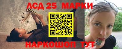 a pvp Гагарин