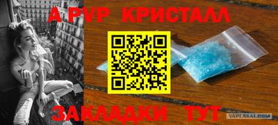 a pvp Гагарин