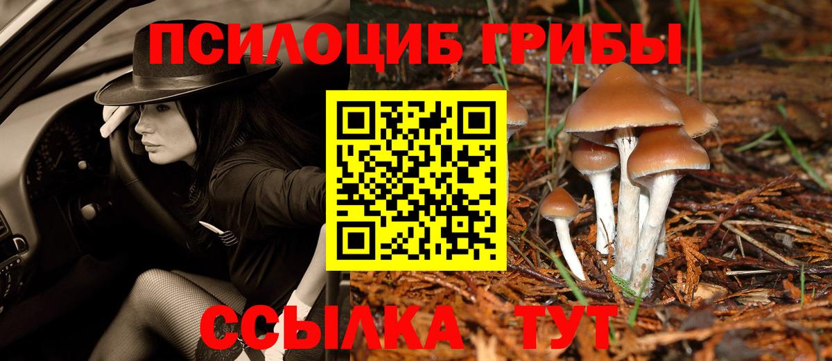 Галлюциногенные грибы MAGIC MUSHROOMS Россия