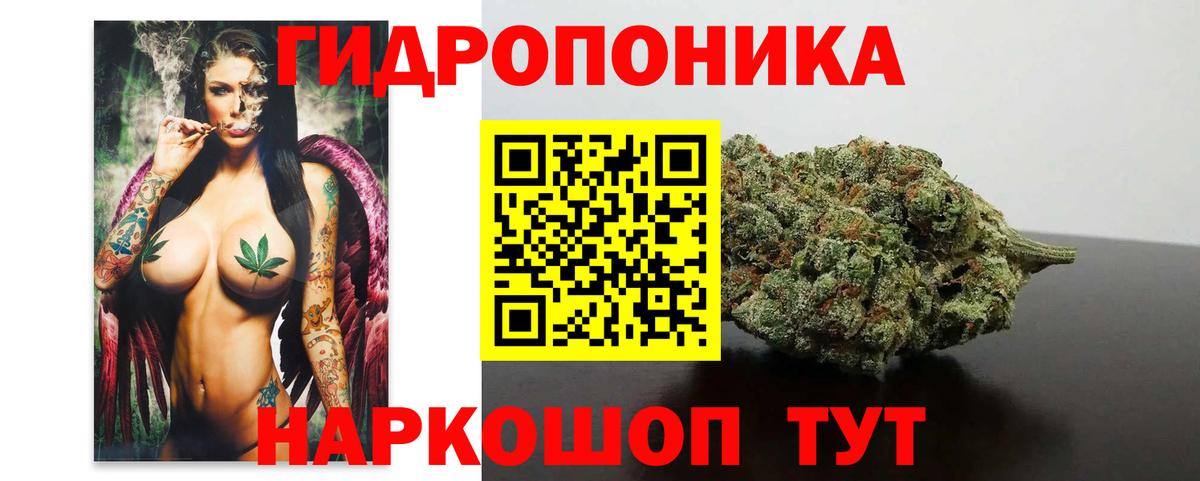 Бошки Шишки план  Каннабис план  Конопля сатива  Россия  Каннабис гибрид  Вход с VPN 